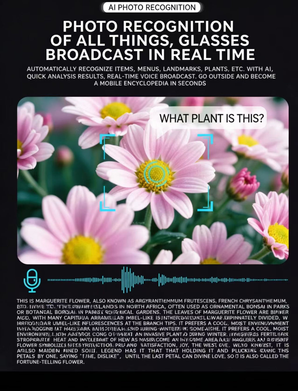 AI smart glasses with an 8MP anti-shake camera for photo/video, object recognition, and real-time translation.